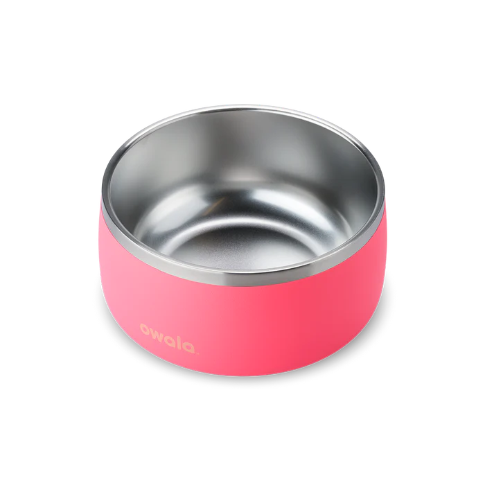 petbowlhyperflamingo1.webp